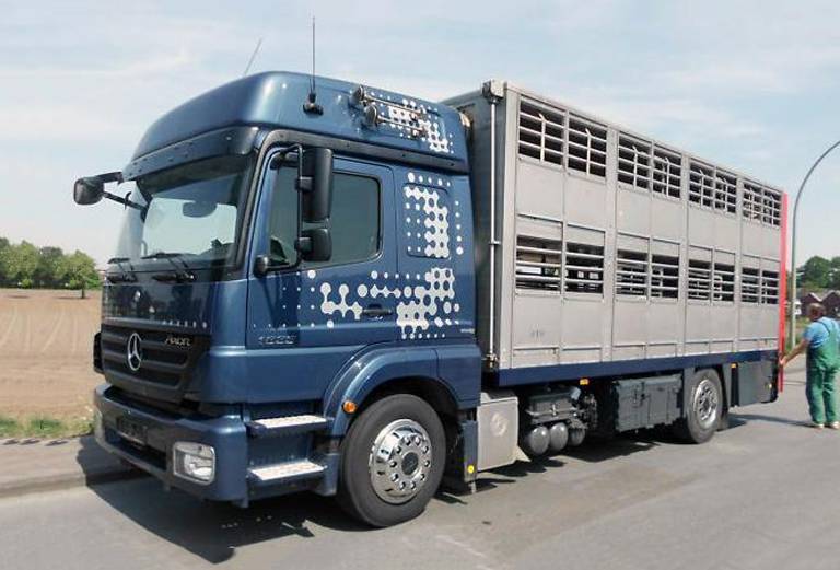Сколько стоит транспортировать лошадь недорого из Владикавказа в Кяхту